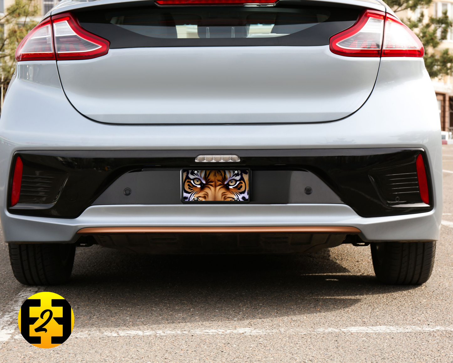 Eye of the Tiger - Decorative License Plate
