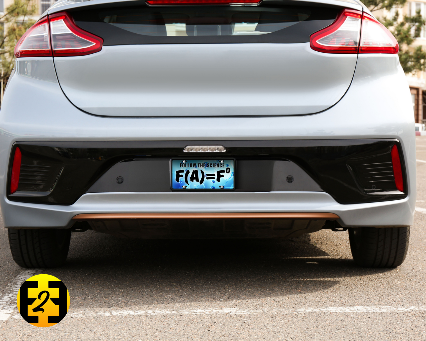 FAFO Follow The Science - Decorative License Plate