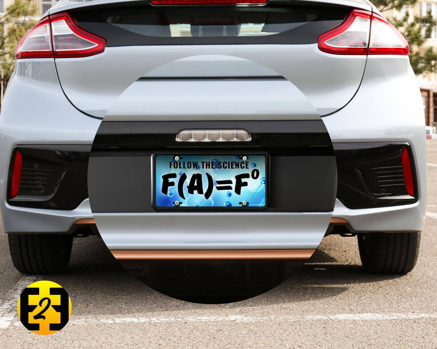 FAFO Follow The Science - Decorative License Plate