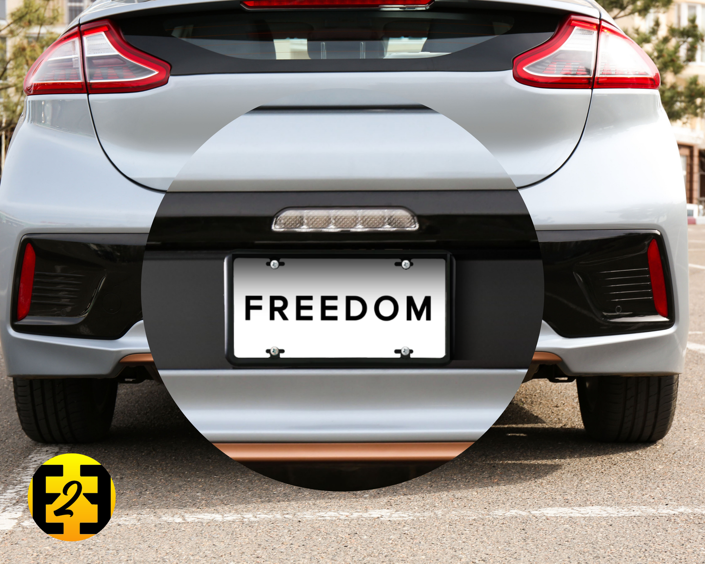 Freedom - Decorative License Plate