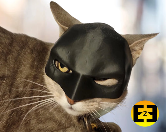 Bat Cat cosplay cat cap